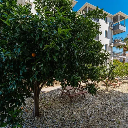 Appartement Assos *